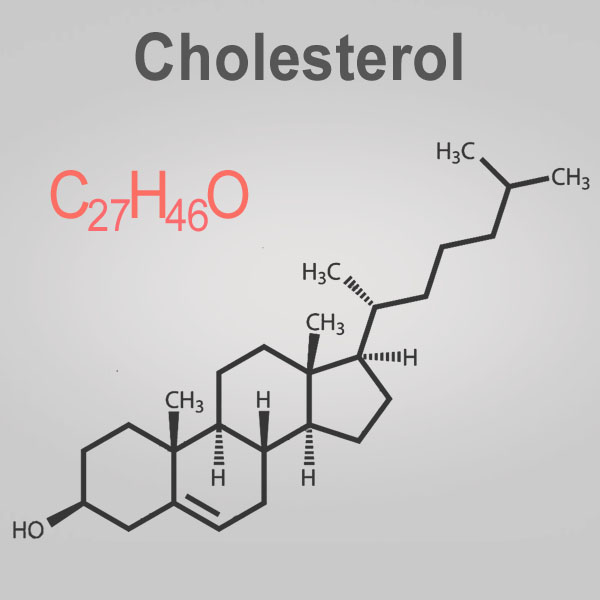 Wzory chemiczne cholesterolu